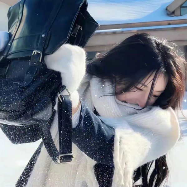 动画纪录